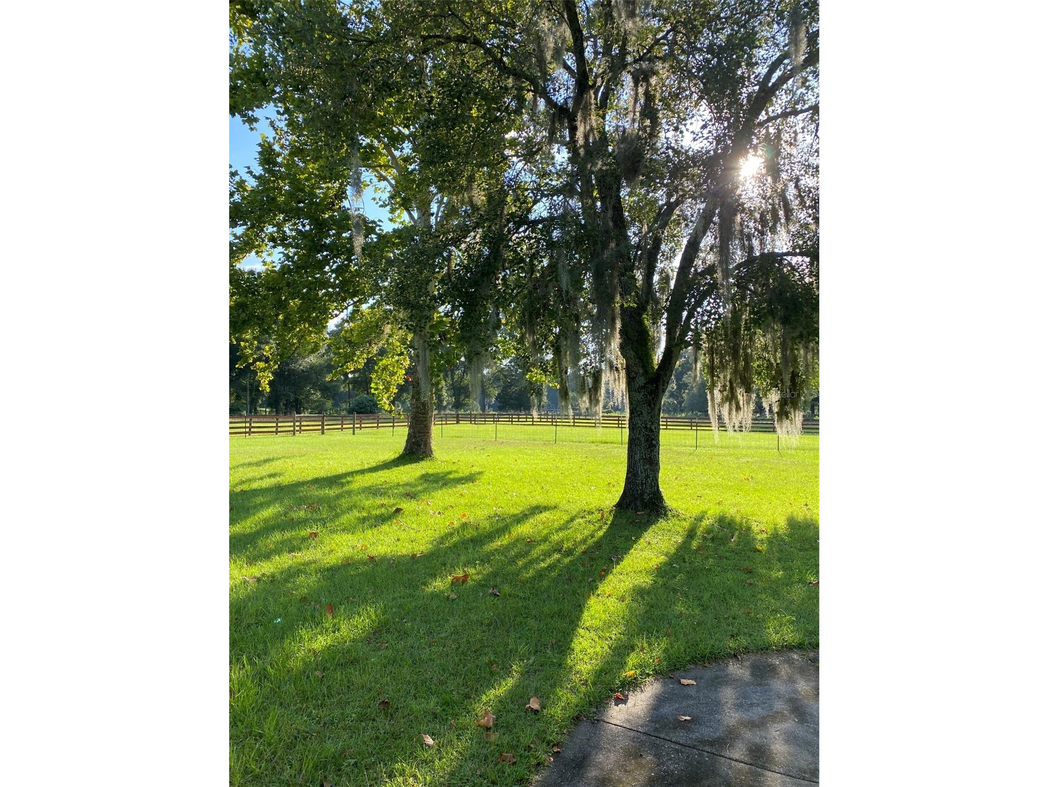 10 SW 50th Avenue Bell FL 32619 GC540477 image39
