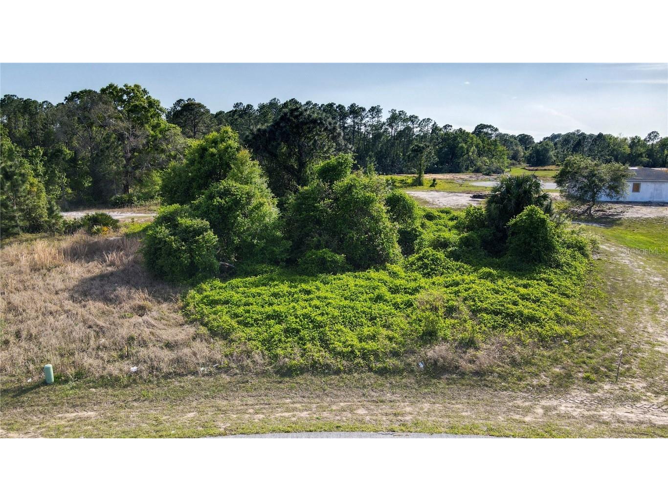 10 Trout Way Poinciana FL 34759 S5082295 image1