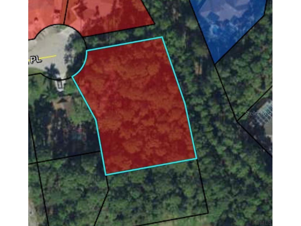 10 Washwick Place Palm Coast FL 32164 FC272153 image2