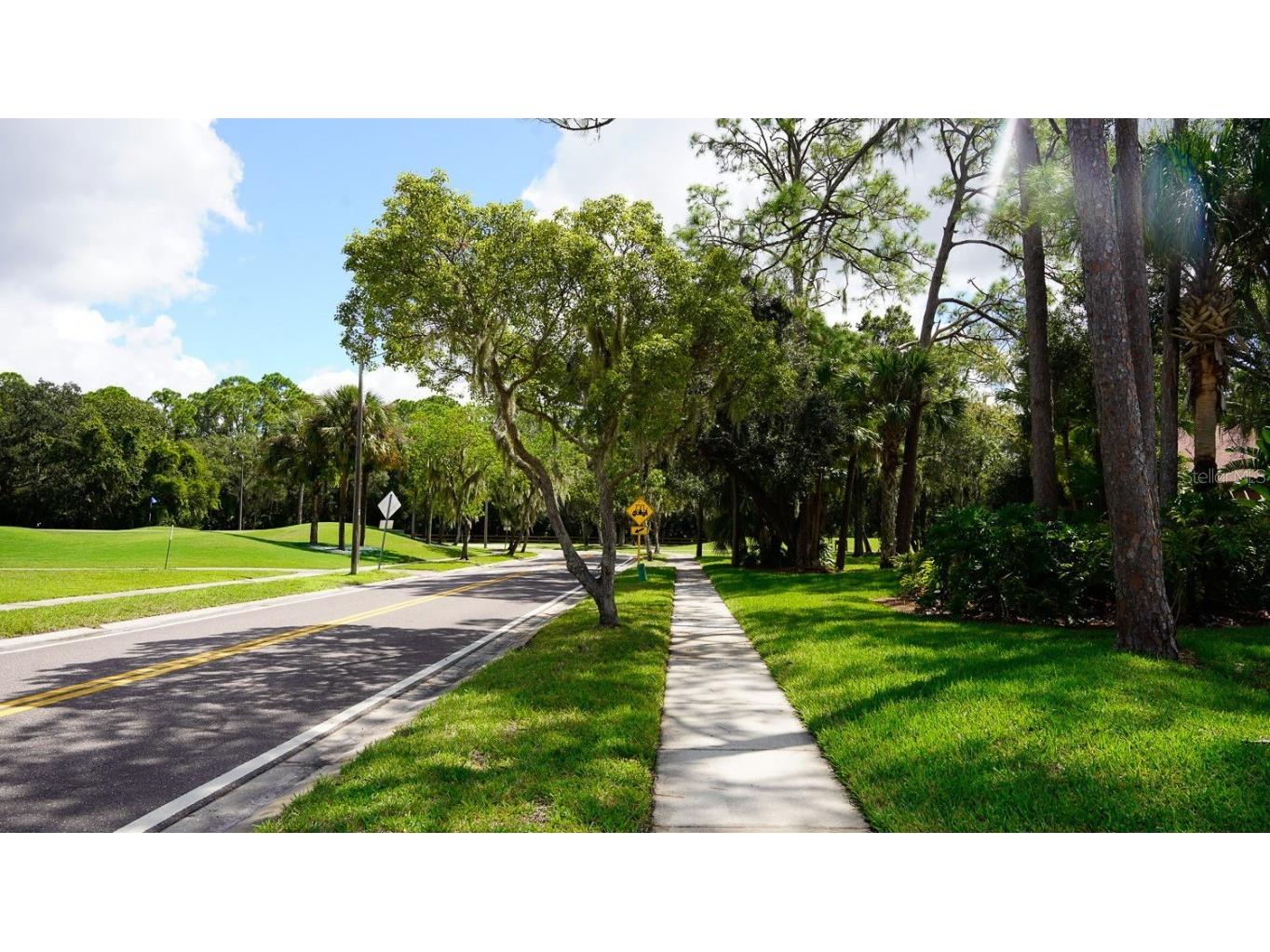 10 Woodridge Circle Oldsmar FL 34677 TB8440718 image52