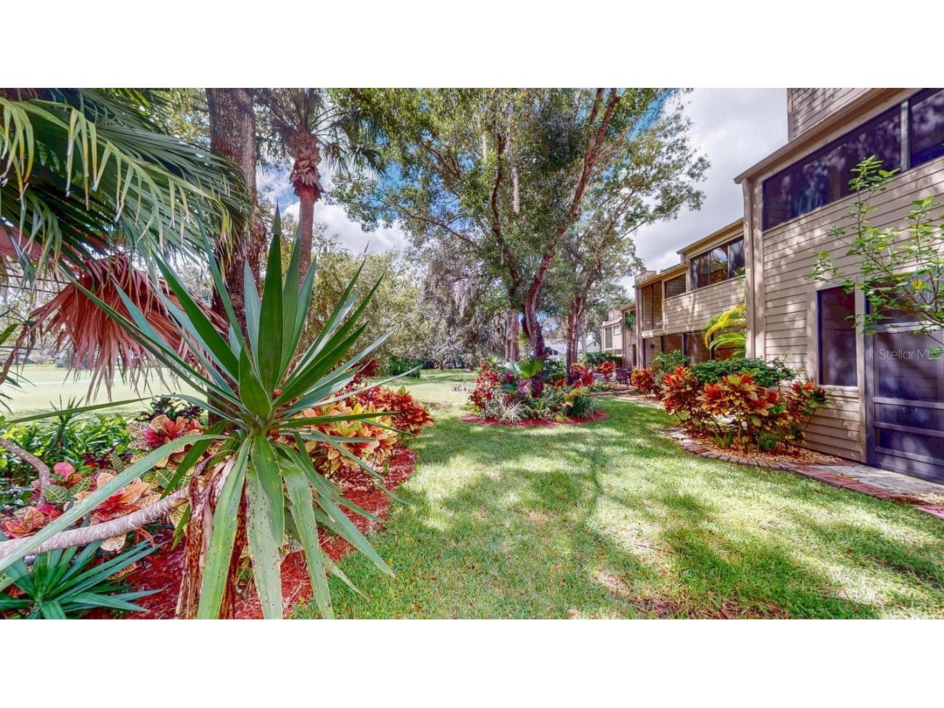 10 Woodridge Circle Oldsmar FL 34677 TB8440718 image57