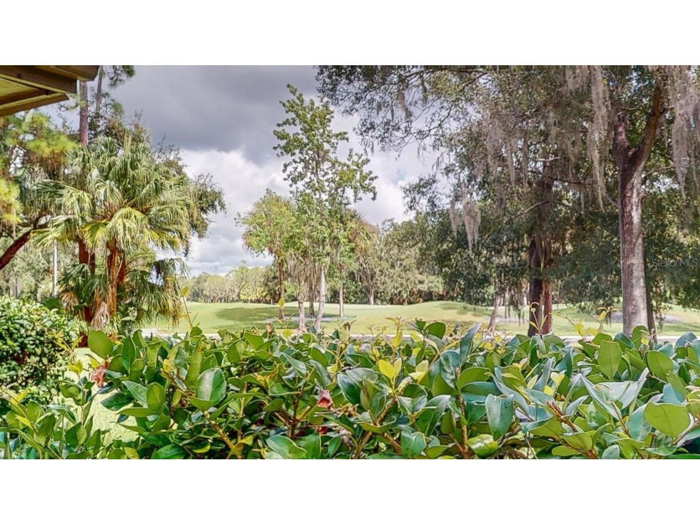 10 Woodridge Circle Oldsmar FL 34677 TB8440718 image62