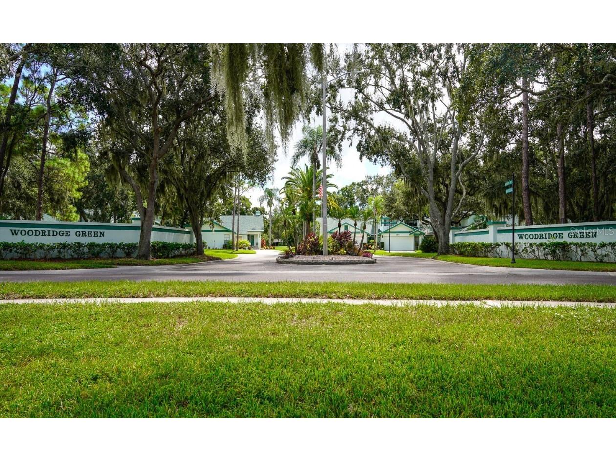 10 Woodridge Circle Oldsmar FL 34677 TB8440718 image64