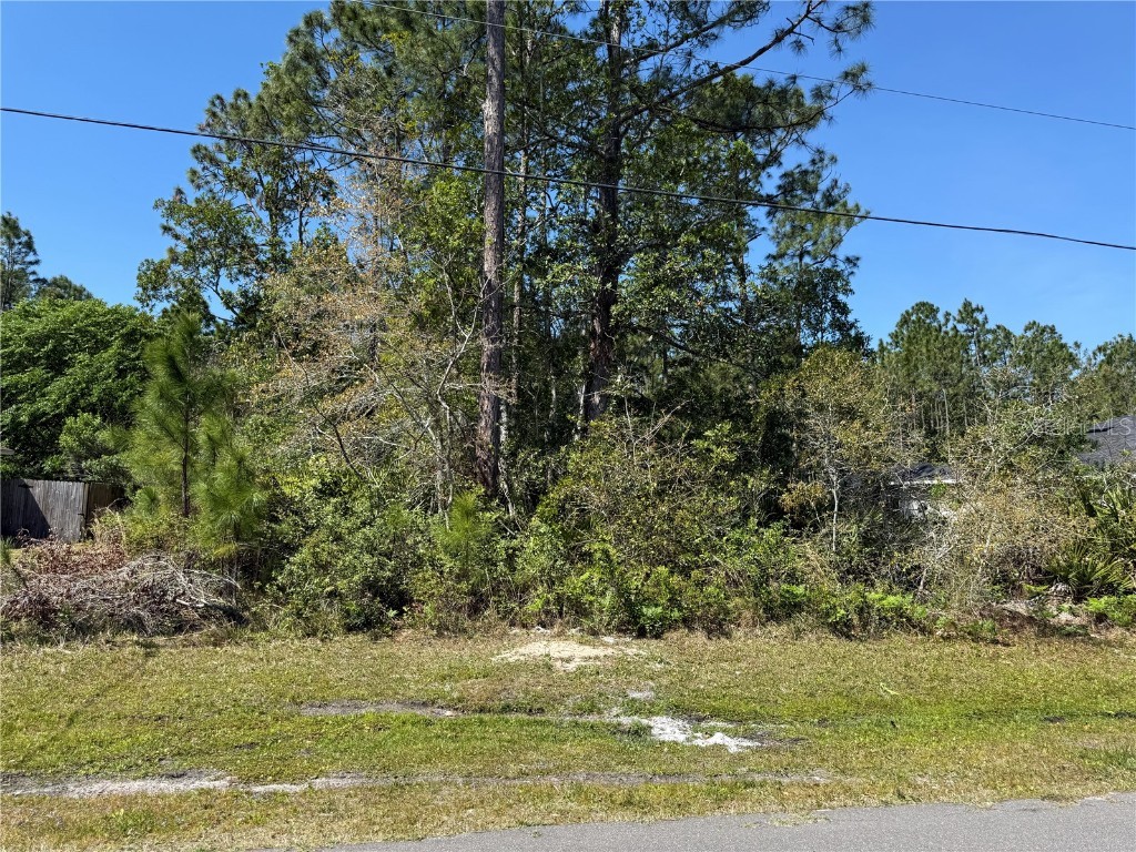 10 Zinnia Court Palm Coast FL 32164 FC308469 image6