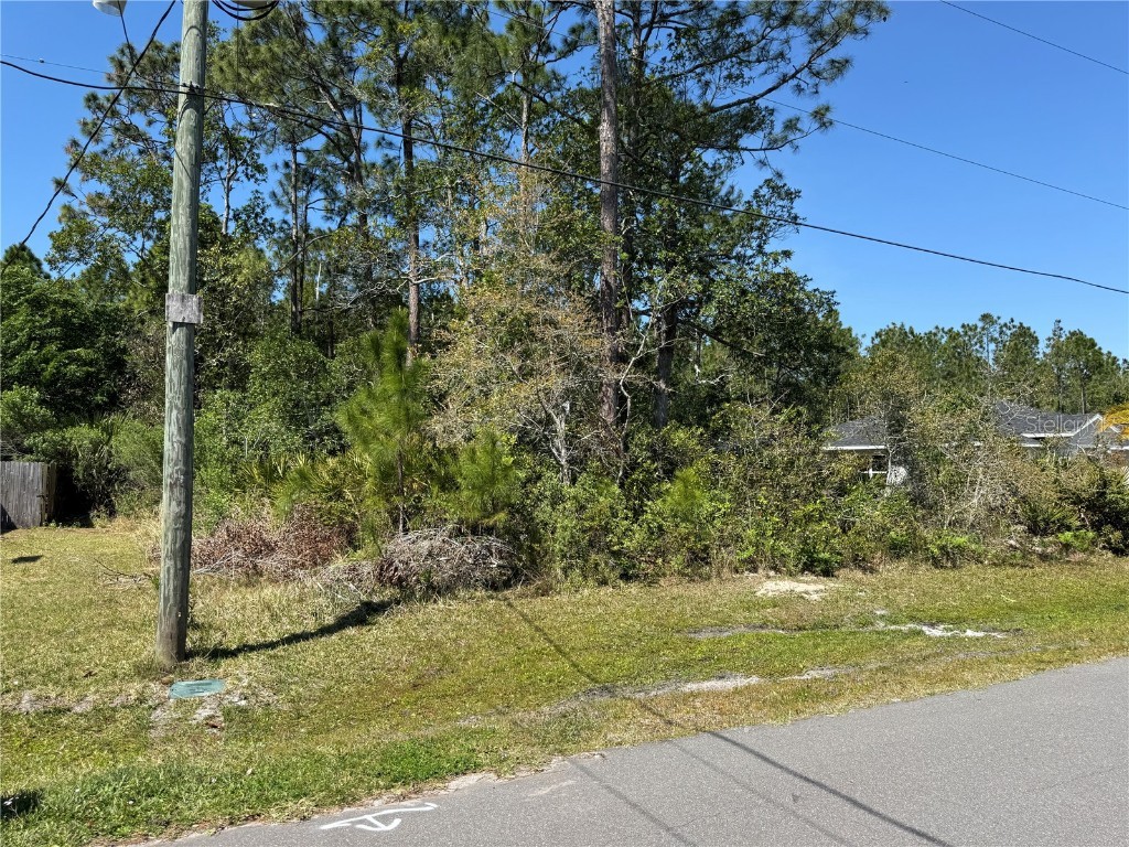 10 Zinnia Court Palm Coast FL 32164 FC308469 image8