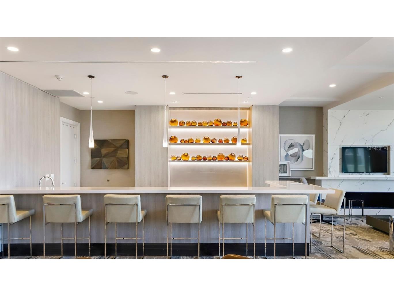 100 1st Avenue N #1005 Saint Petersburg FL 33701 - TAMPA BAY TB8369836 image51