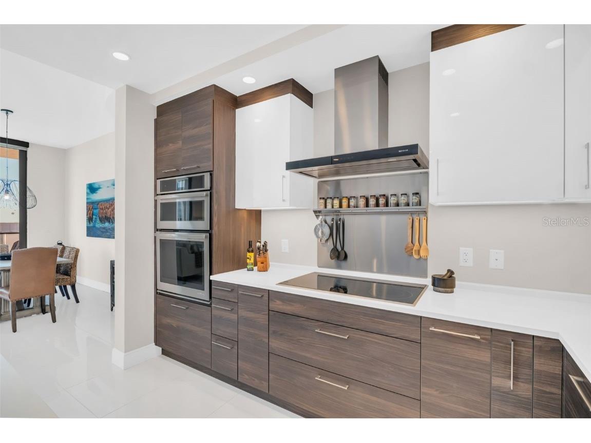 100 1st Avenue N #1706 Saint Petersburg FL 33701 TB8447075 image9