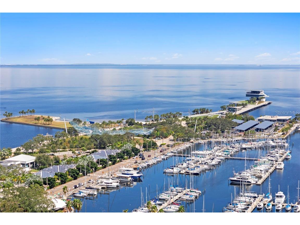 100 1st Avenue N #2404 Saint Petersburg FL 33701 TB8311340 image1