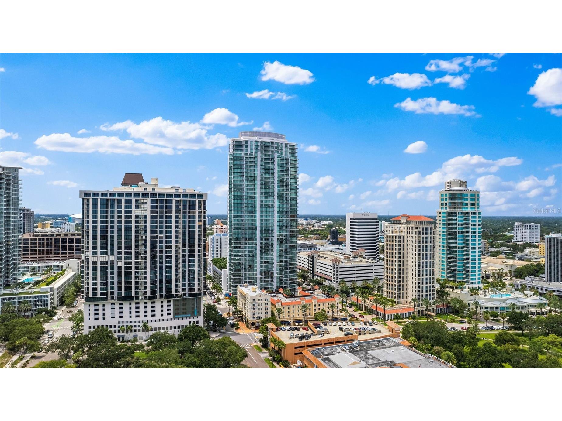 100 1st Avenue N #2703 Saint Petersburg FL 33701 - TAMPA BAY TB8483247 image46