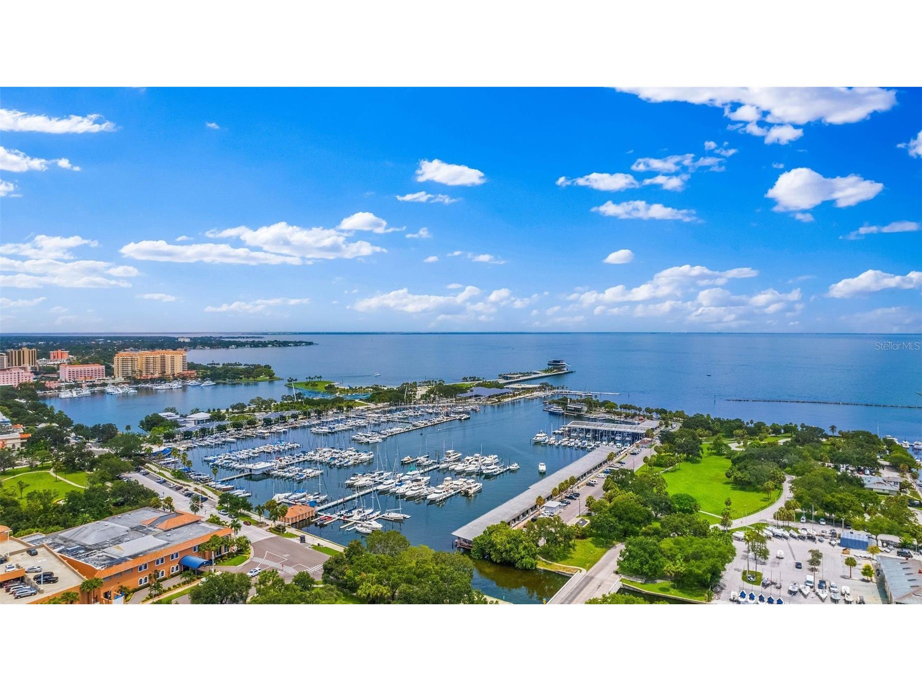 100 1st Avenue N #2703 Saint Petersburg FL 33701 - TAMPA BAY TB8483247 image47