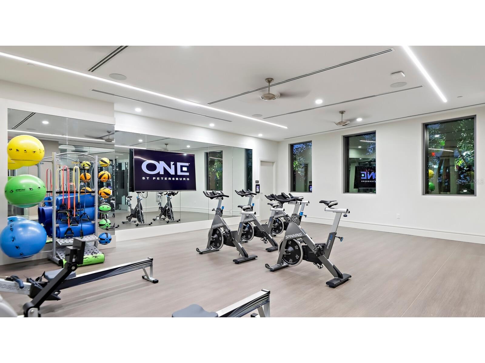 100 1st Avenue N #3001 Saint Petersburg FL 33701 - TAMPA BAY TB8435975 image58