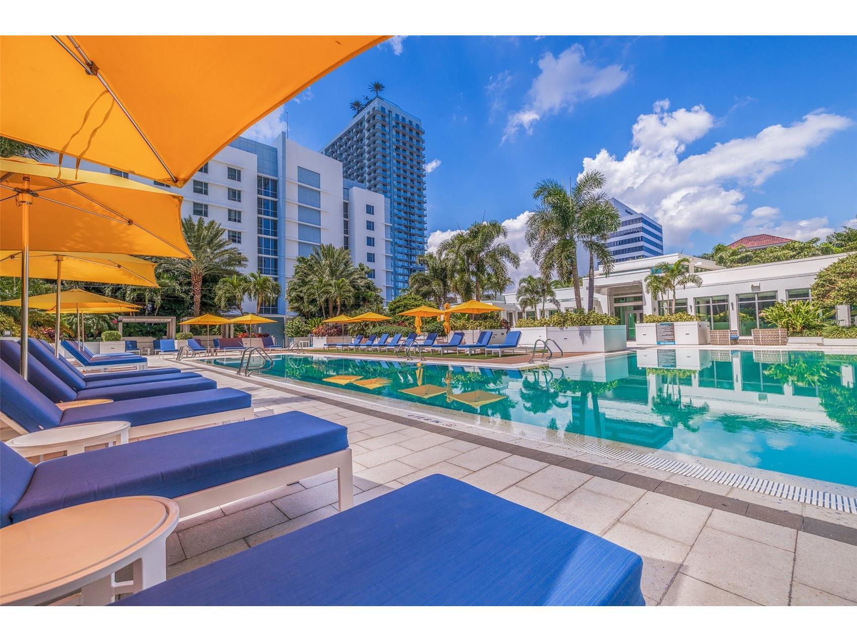 100 1st Avenue N #3802 Saint Petersburg FL 33701 - TAMPA BAY TB8517636 image45