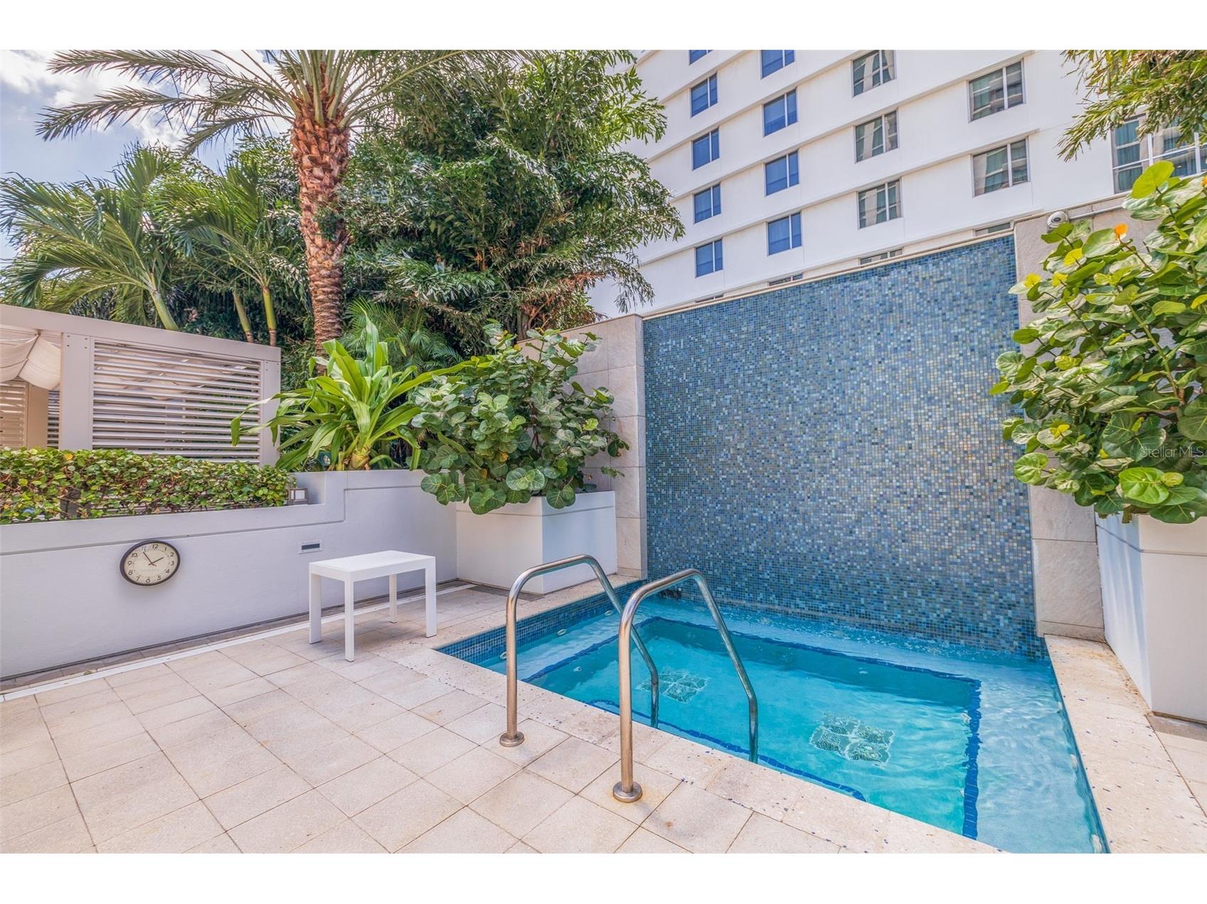 100 1st Avenue N #3802 Saint Petersburg FL 33701 - TAMPA BAY TB8517636 image49