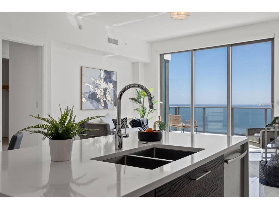 100 1st Avenue N #3902 Saint Petersburg FL 33701 TB8461700 image17