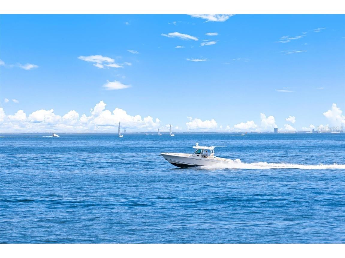 100 1st Avenue N #3902 Saint Petersburg FL 33701 TB8461700 image55