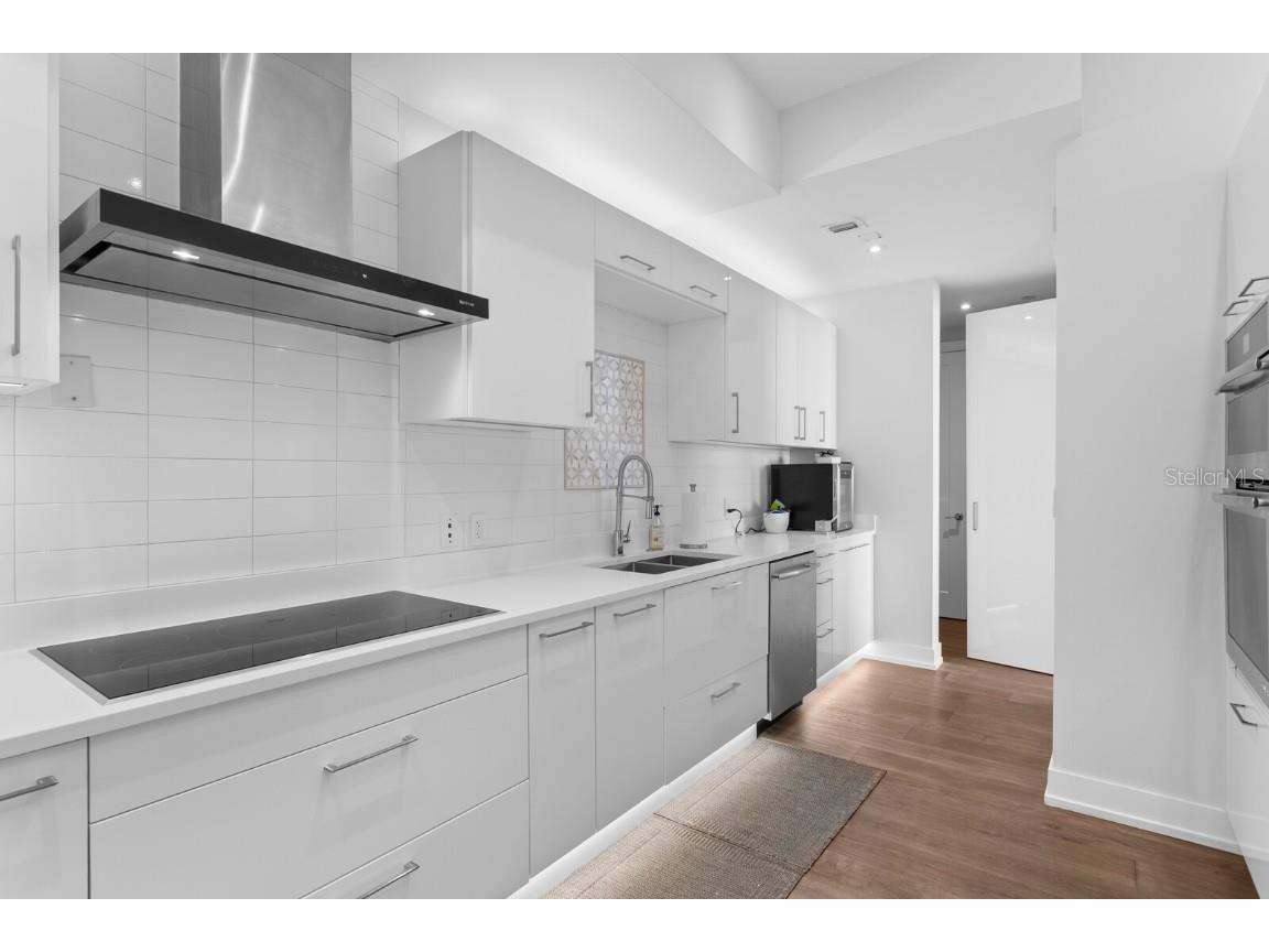 100 1st Avenue N #3905 Saint Petersburg FL 33701 - TAMPA BAY TB8397577 image31