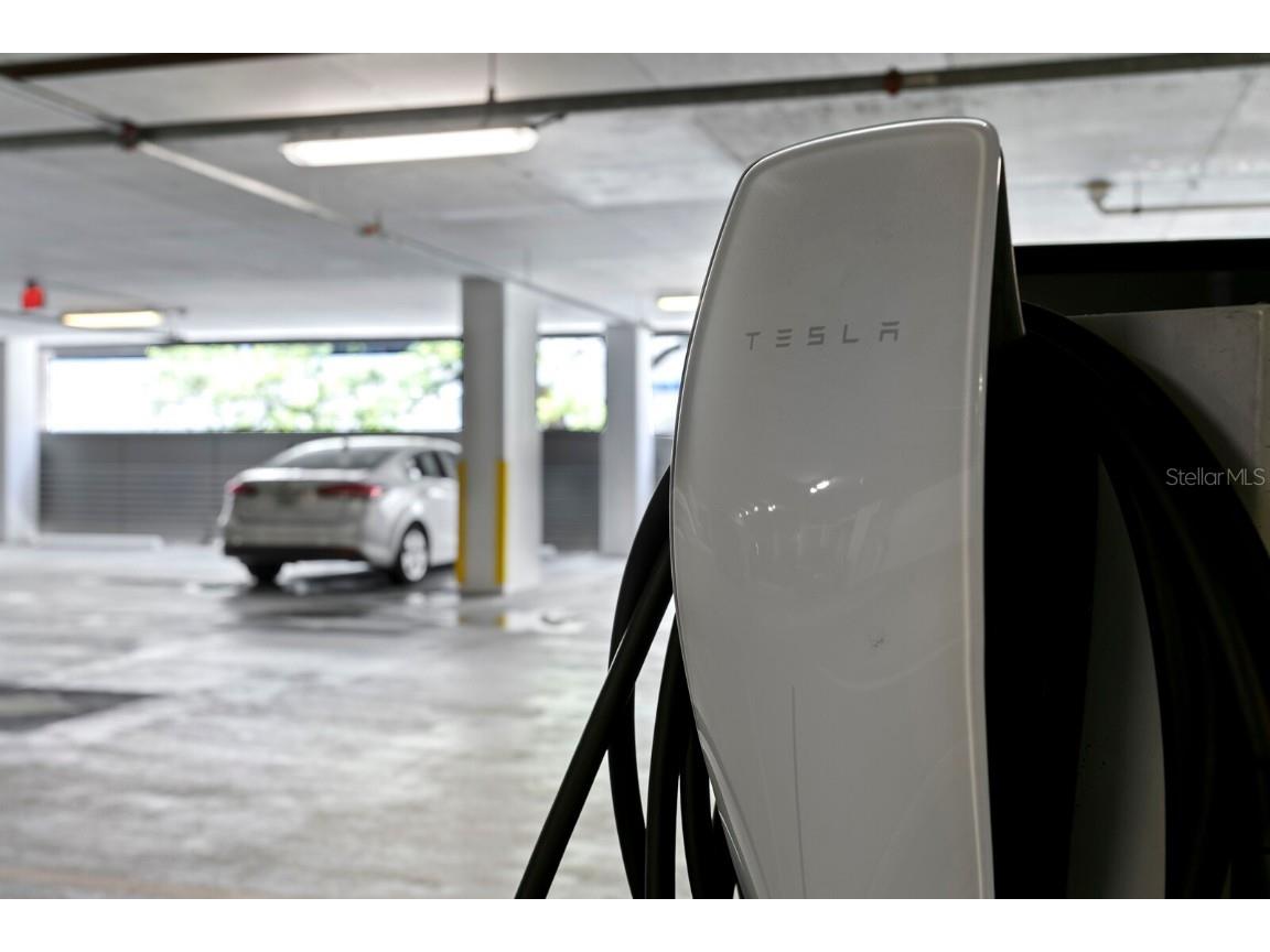 100 1st Avenue N #3905 Saint Petersburg FL 33701 - TAMPA BAY TB8397577 image93