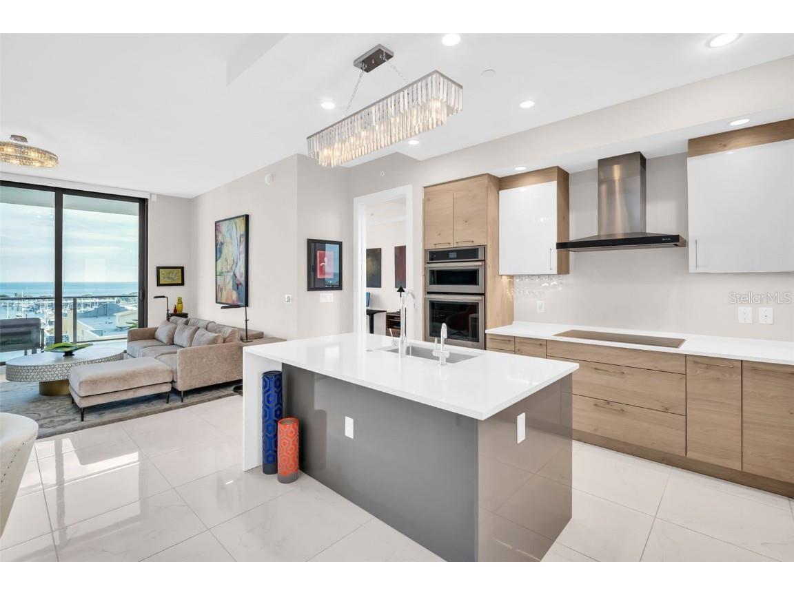 100 1st Avenue N #802 Saint Petersburg FL 33701 - TAMPA BAY TB8454725 image38