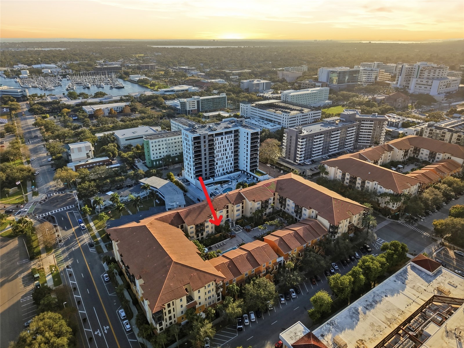 100 4th Avenue S #115 Saint Petersburg FL 33701 TB8505467 image1