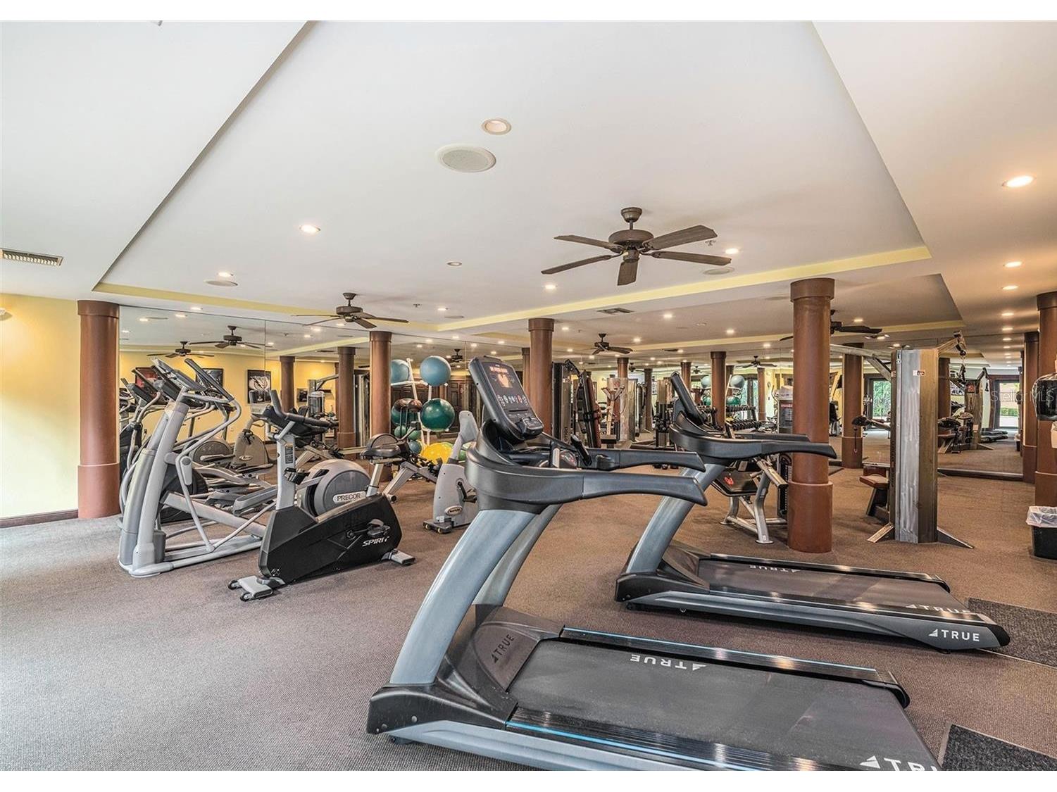100 4th Avenue S #115 Saint Petersburg FL 33701 TB8505467 image26