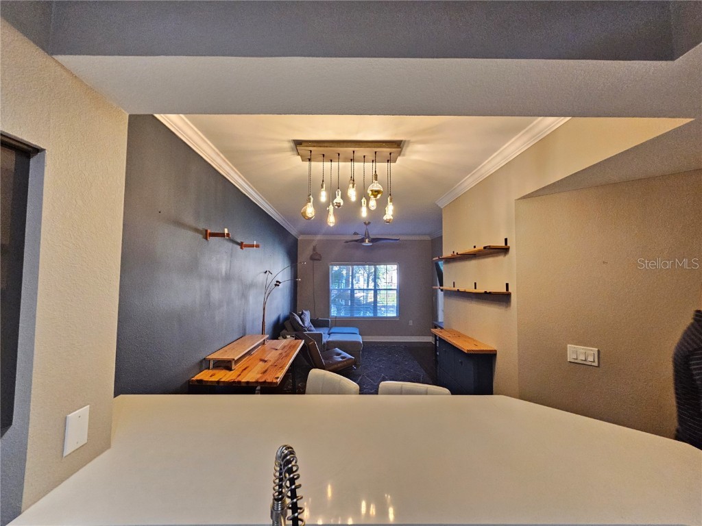 100 4th Avenue S #205 Saint Petersburg FL 33701 TB8310505 image5