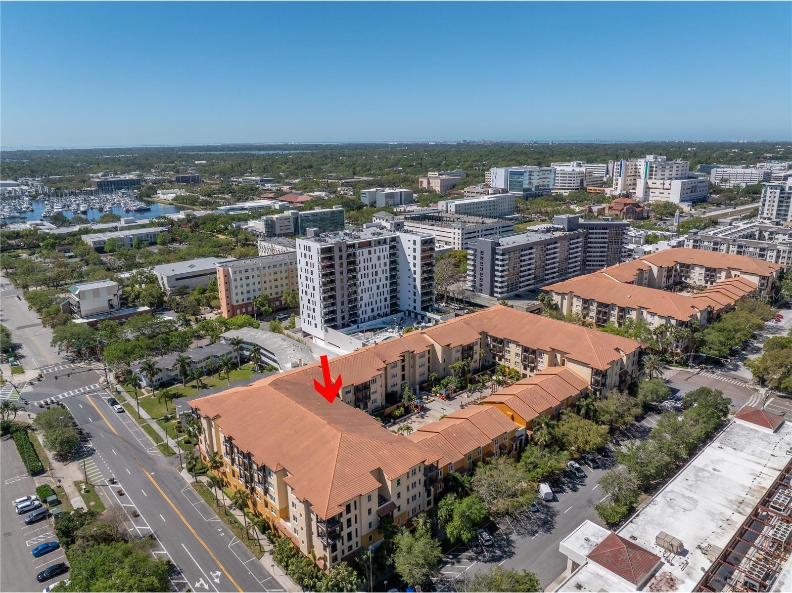 100 4th Avenue S #207 Saint Petersburg FL 33701 TB8494262 image68