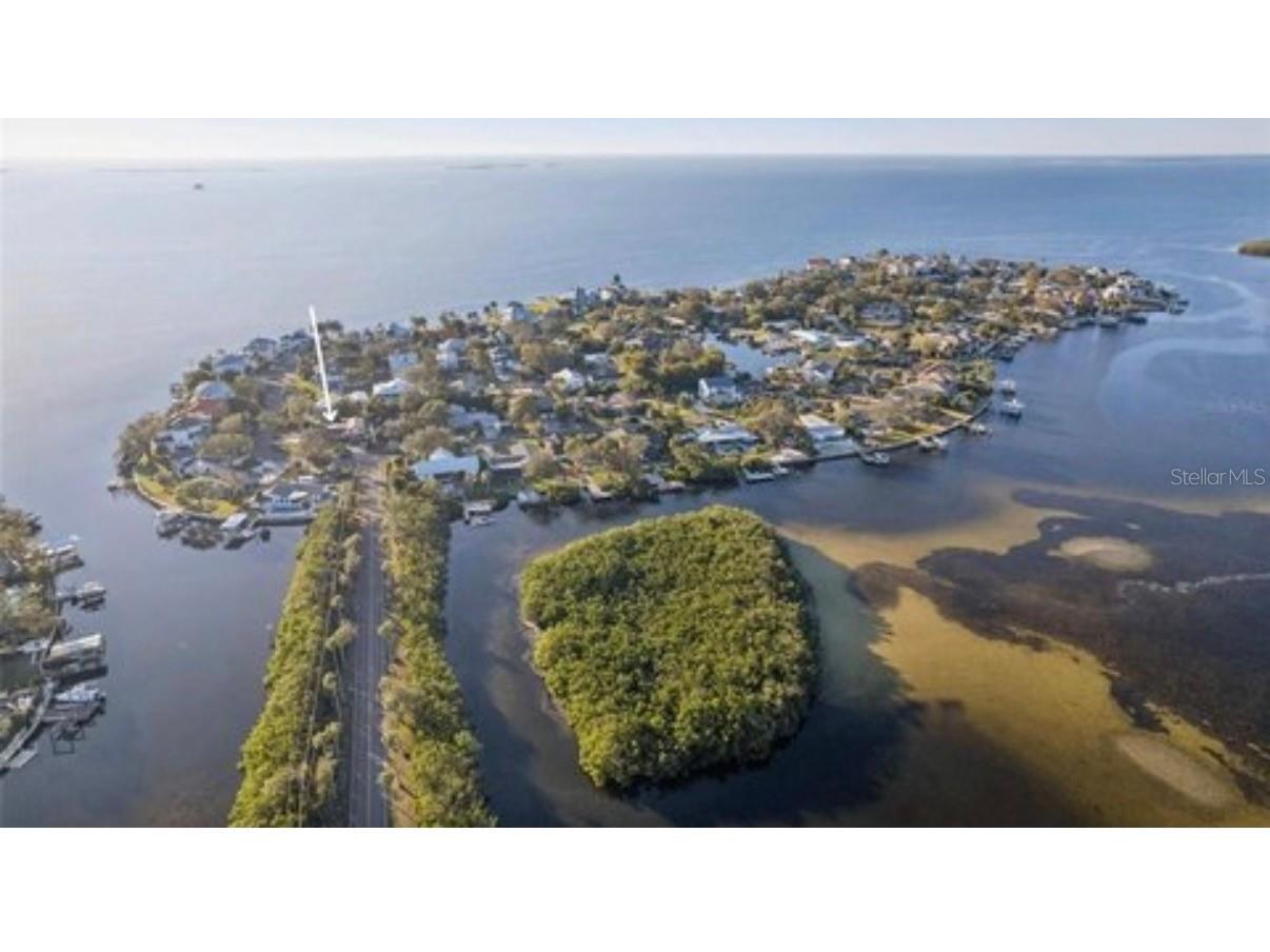 100 Augusta Avenue Palm Harbor FL 34683 TB8511520 image1
