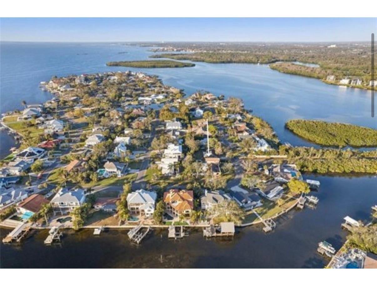 100 Augusta Avenue Palm Harbor FL 34683 TB8511520 image6