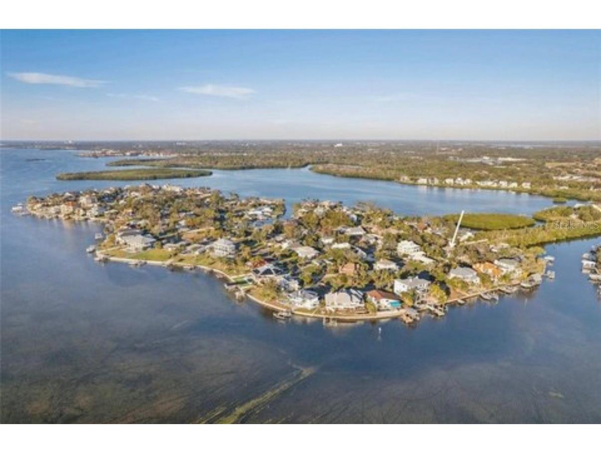 100 Augusta Avenue Palm Harbor FL 34683 TB8511520 image9