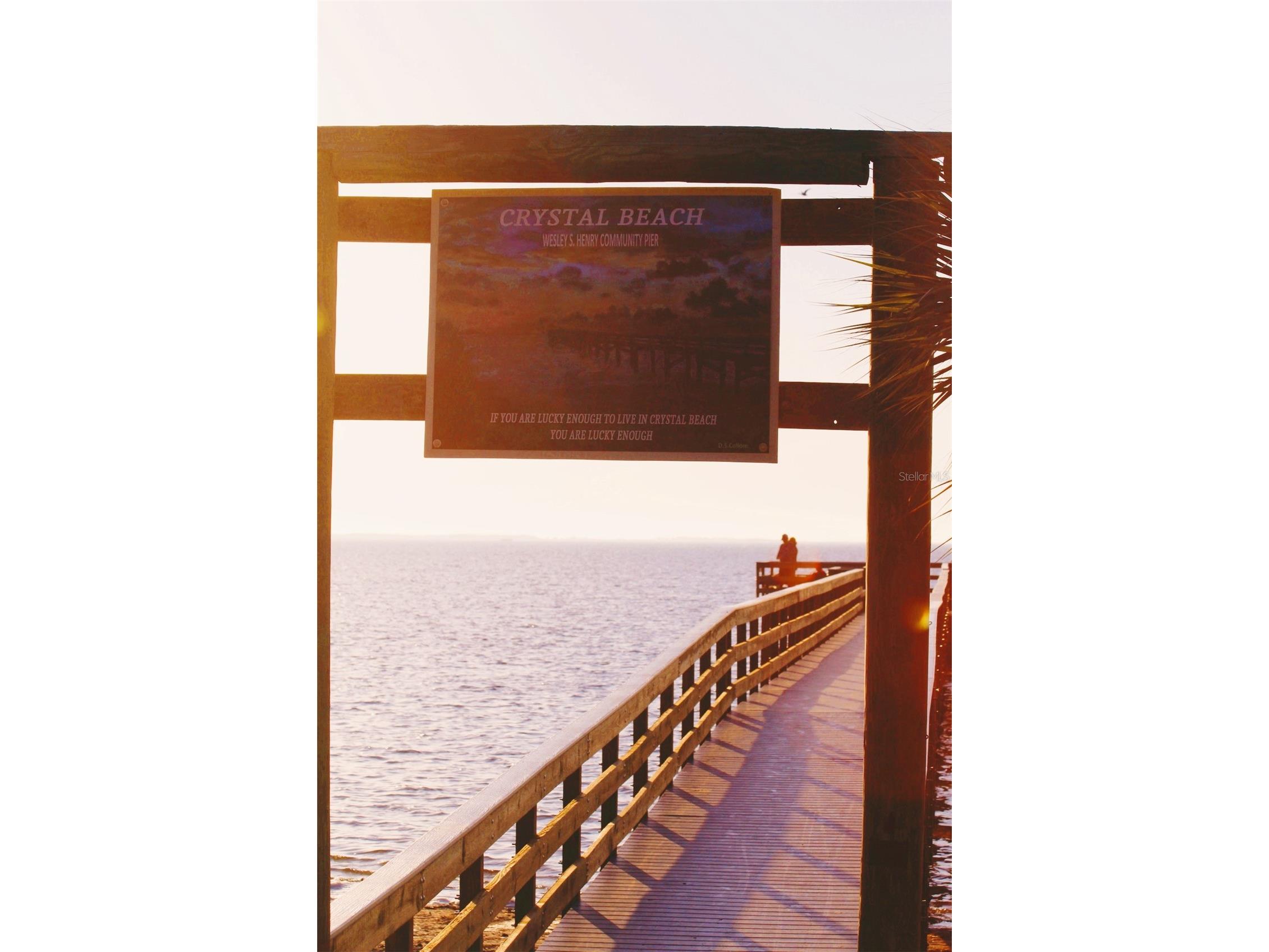 100 Avery Avenue Crystal Beach FL 34681 TB8513449 image45