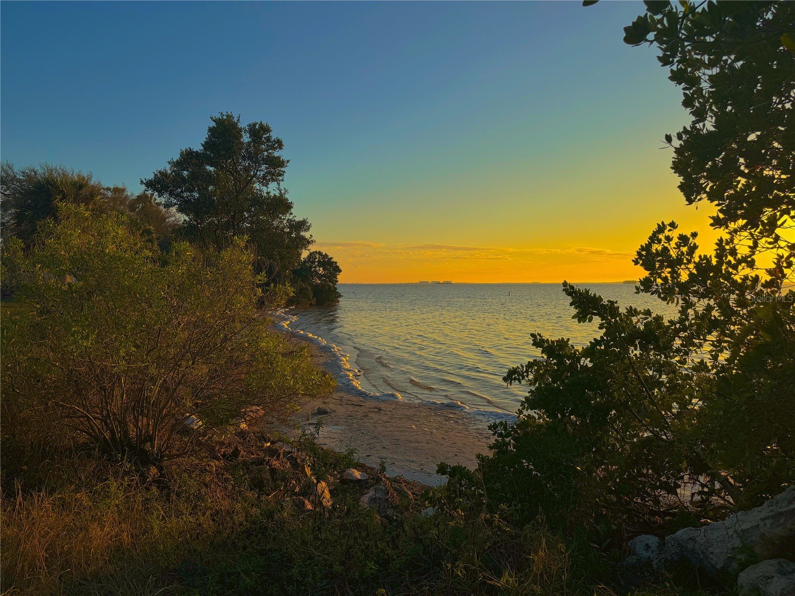 100 Avery Avenue Crystal Beach FL 34681 TB8513449 image46