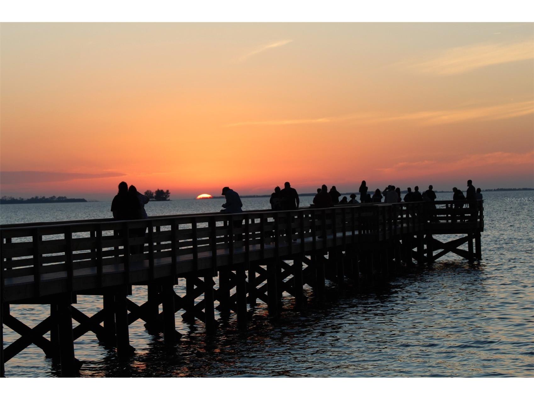 100 Avery Avenue Crystal Beach FL 34681 TB8513449 image47