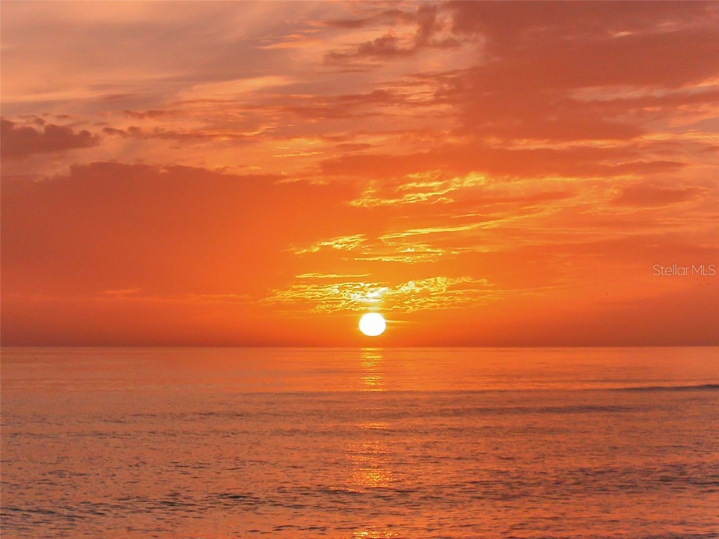 100 Bayshore Road #C Nokomis FL 34275 A4666694 image39
