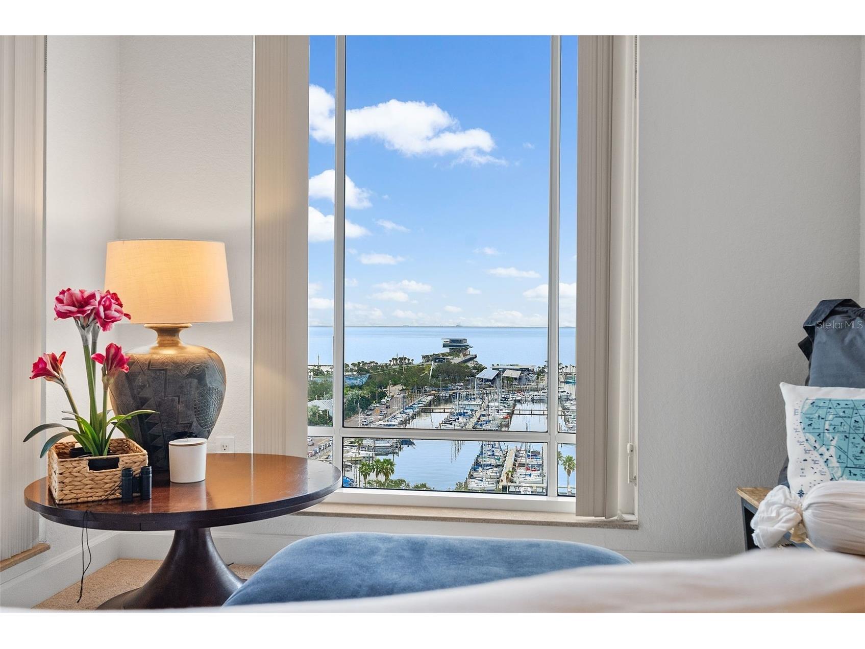 100 Beach Drive NE #1501 Saint Petersburg FL 33701 TB8481559 image23