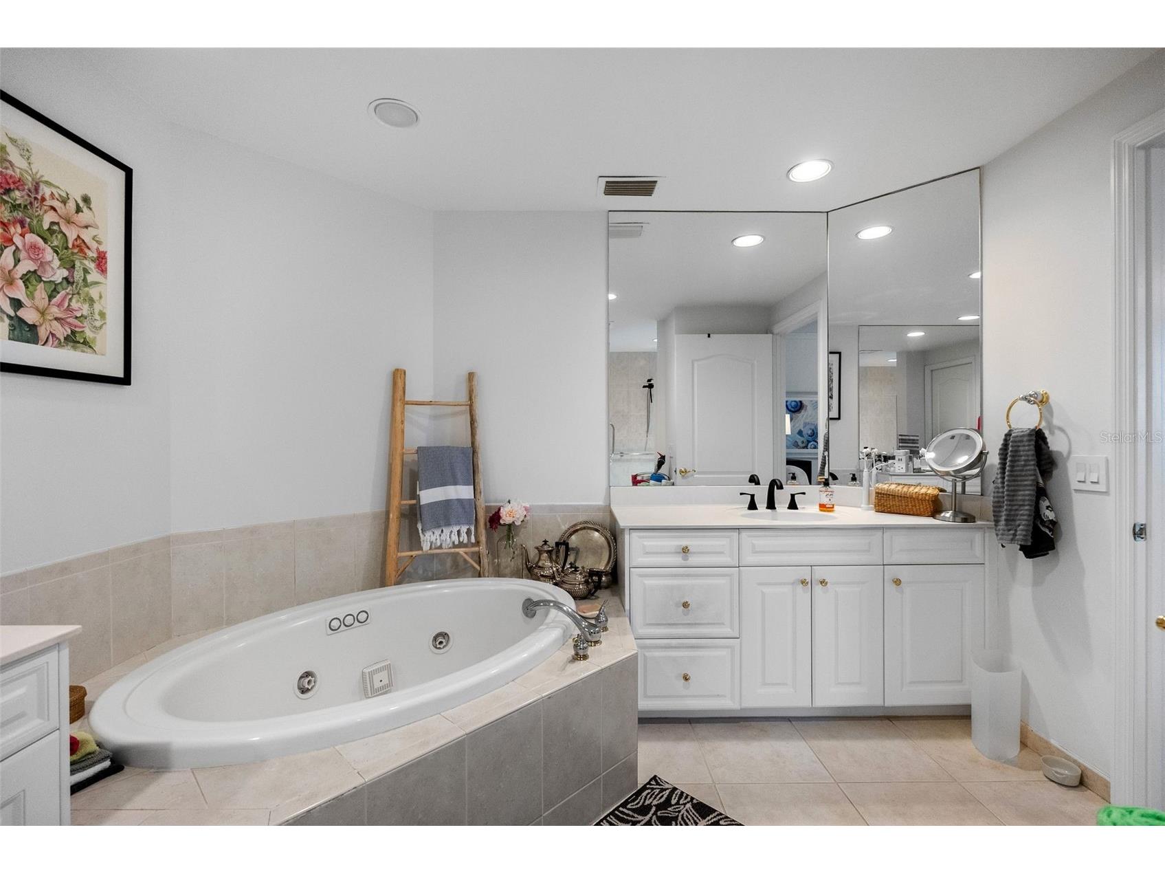 100 Beach Drive NE #1501 Saint Petersburg FL 33701 TB8481559 image27