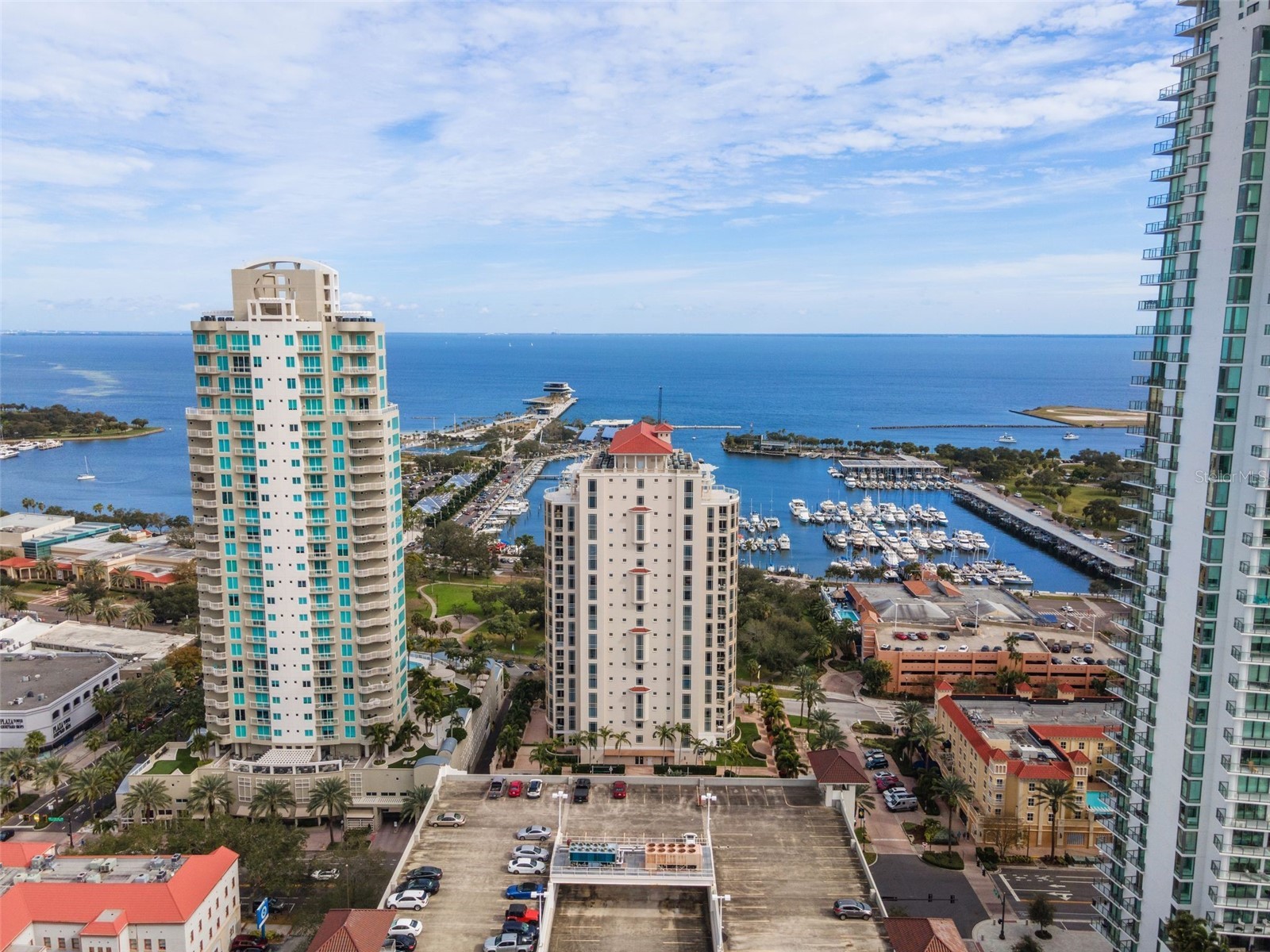 100 Beach Drive NE #1501 Saint Petersburg FL 33701 TB8481559 image45
