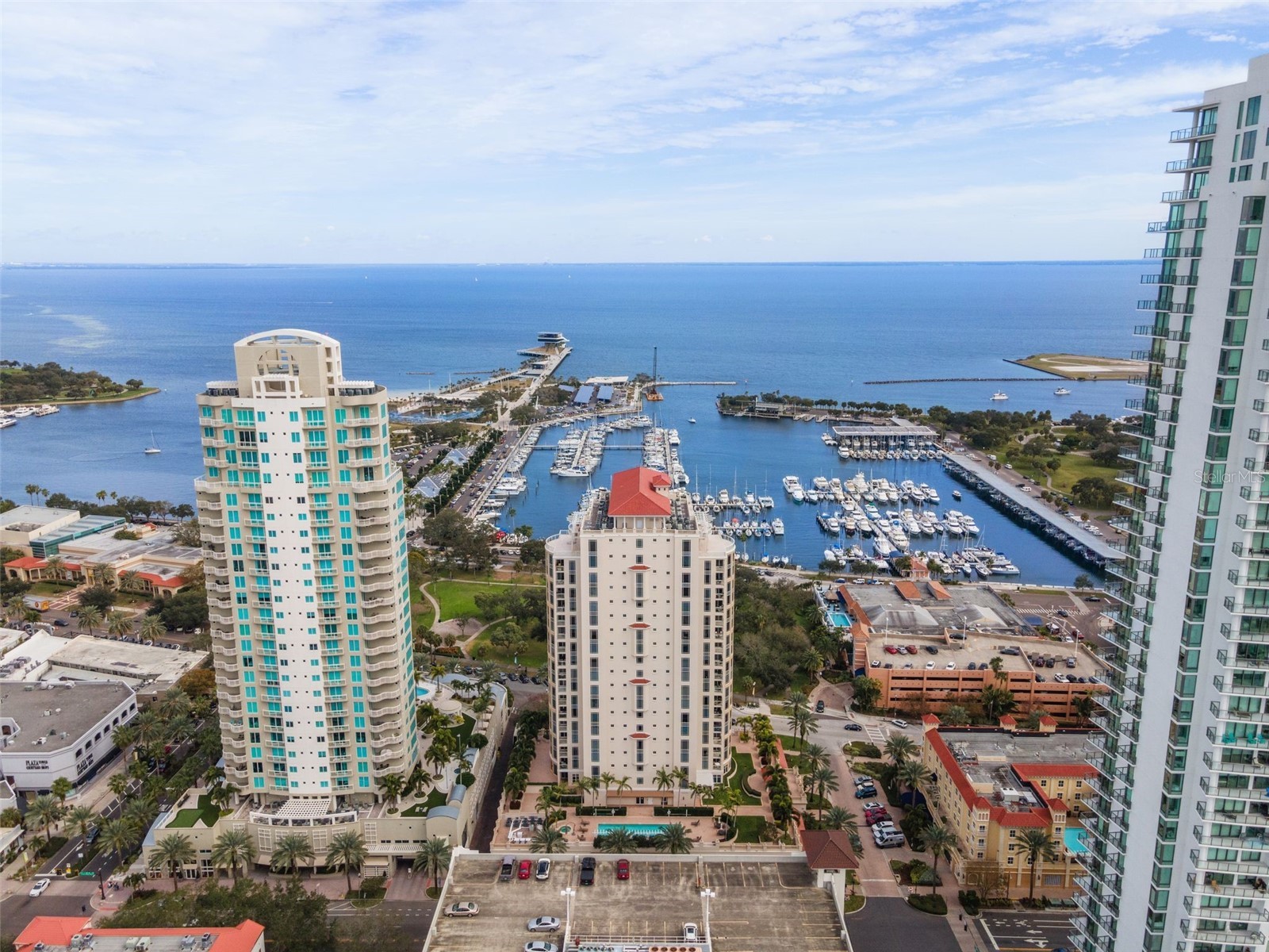 100 Beach Drive NE #1501 Saint Petersburg FL 33701 TB8481559 image46