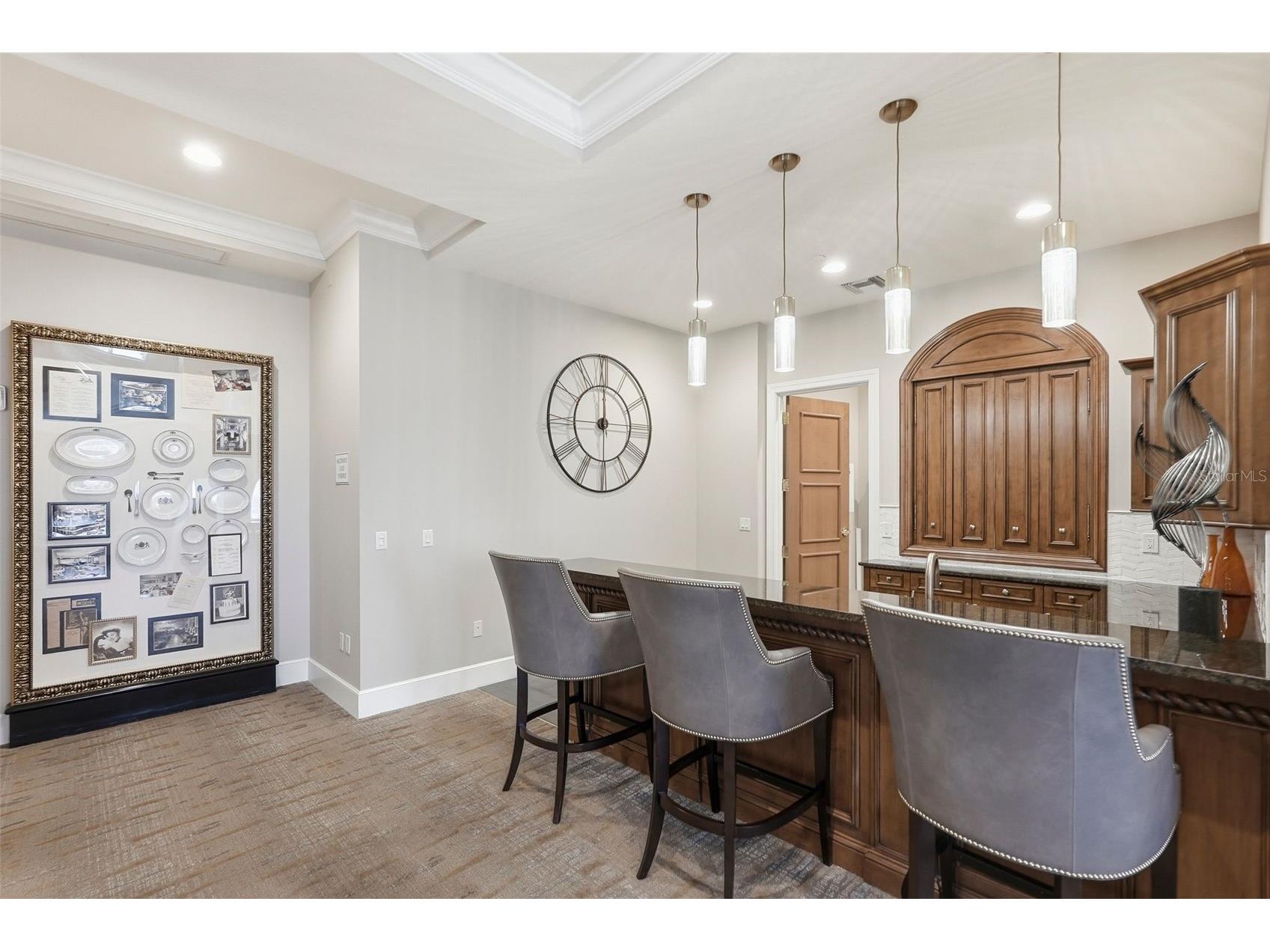 100 Beach Drive NE #1900 Saint Petersburg FL 33701 - TAMPA BAY TB8526851 image56