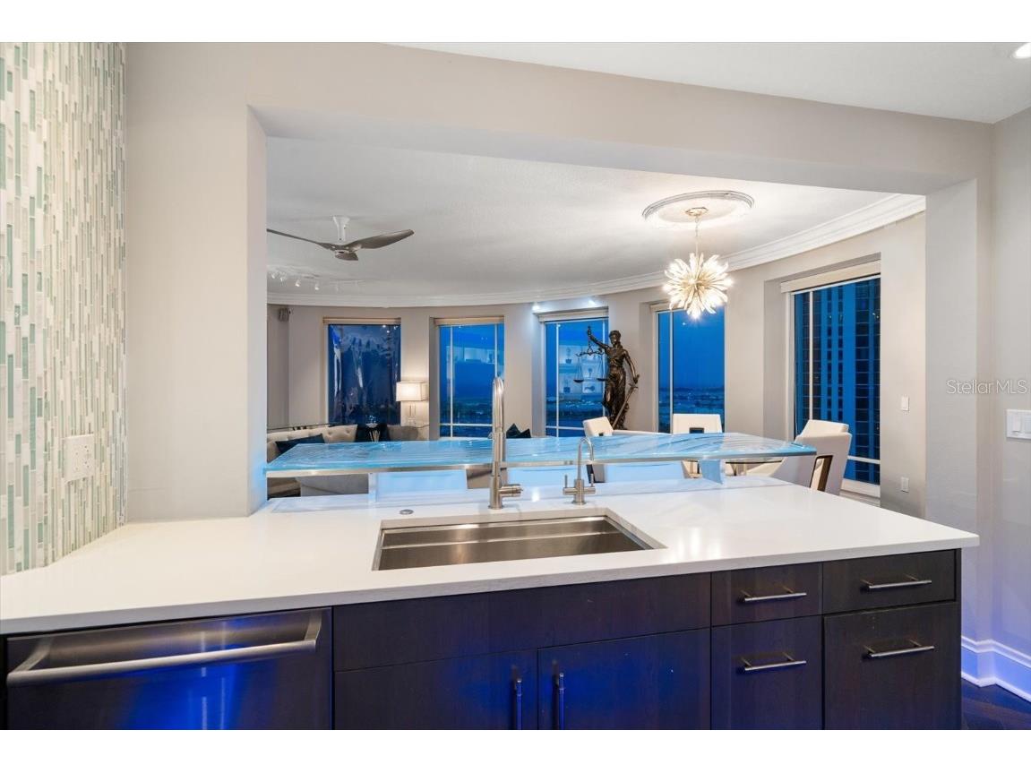 100 Beach Drive NE #1900 Saint Petersburg FL 33701 - TAMPA BAY U8243966 image33