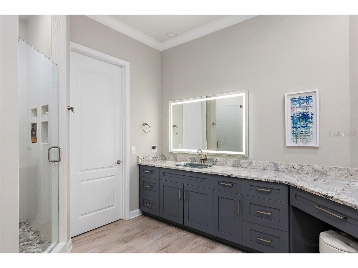 100 Beach Drive NE #301 Saint Petersburg FL 33701 TB8433538 image31