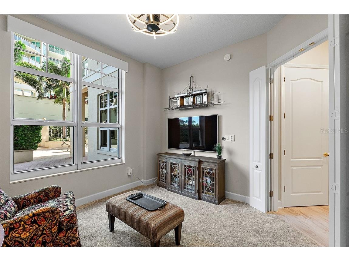 100 Beach Drive NE #301 Saint Petersburg FL 33701 TB8433538 image43