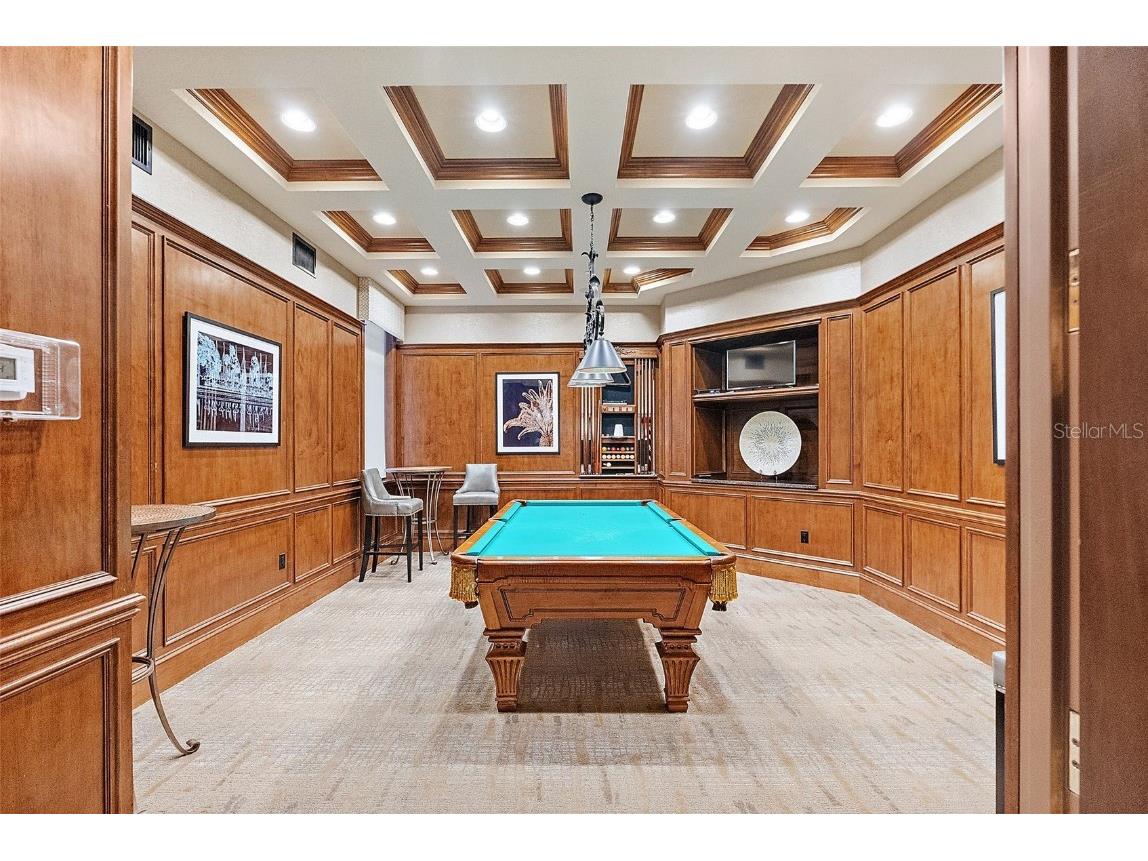 100 Beach Drive NE #301 Saint Petersburg FL 33701 TB8433538 image51