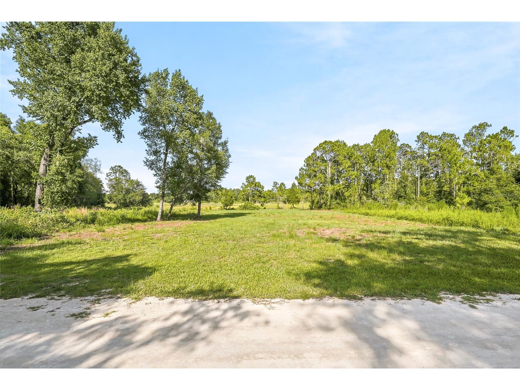 100 Berryhill Drive Webster FL 33597 - Long Lake W7887333 image1