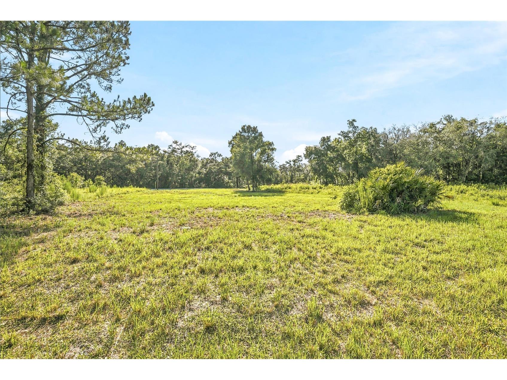 100 Berryhill Drive Webster FL 33597 - Long Lake W7887333 image10