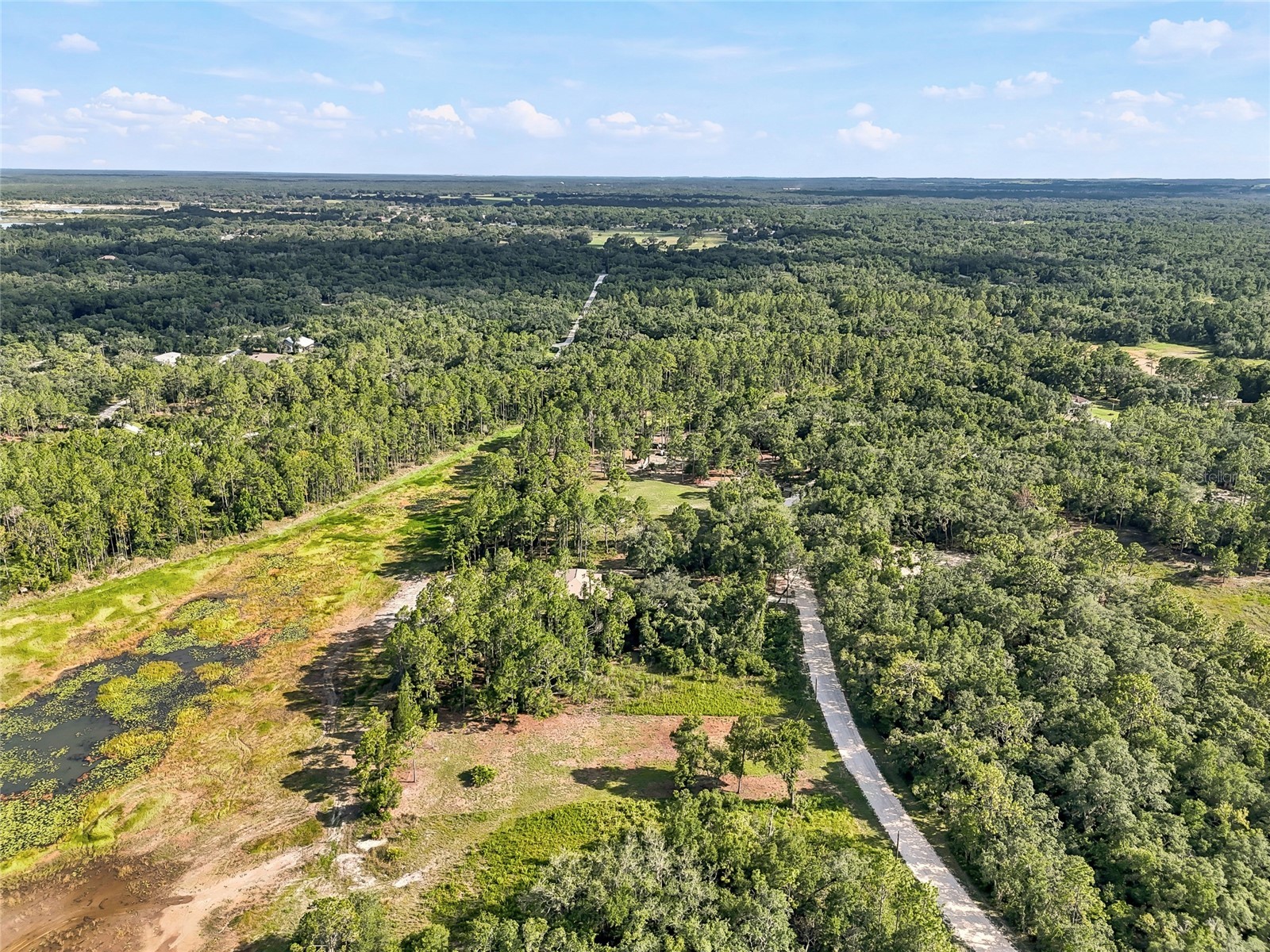 100 Berryhill Drive Webster FL 33597 - Long Lake W7887333 image13