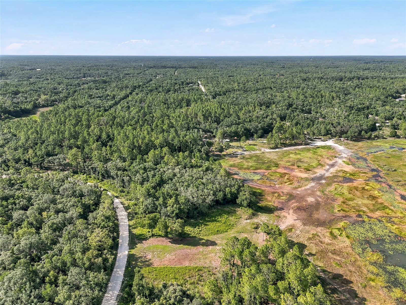 100 Berryhill Drive Webster FL 33597 - Long Lake W7887333 image17