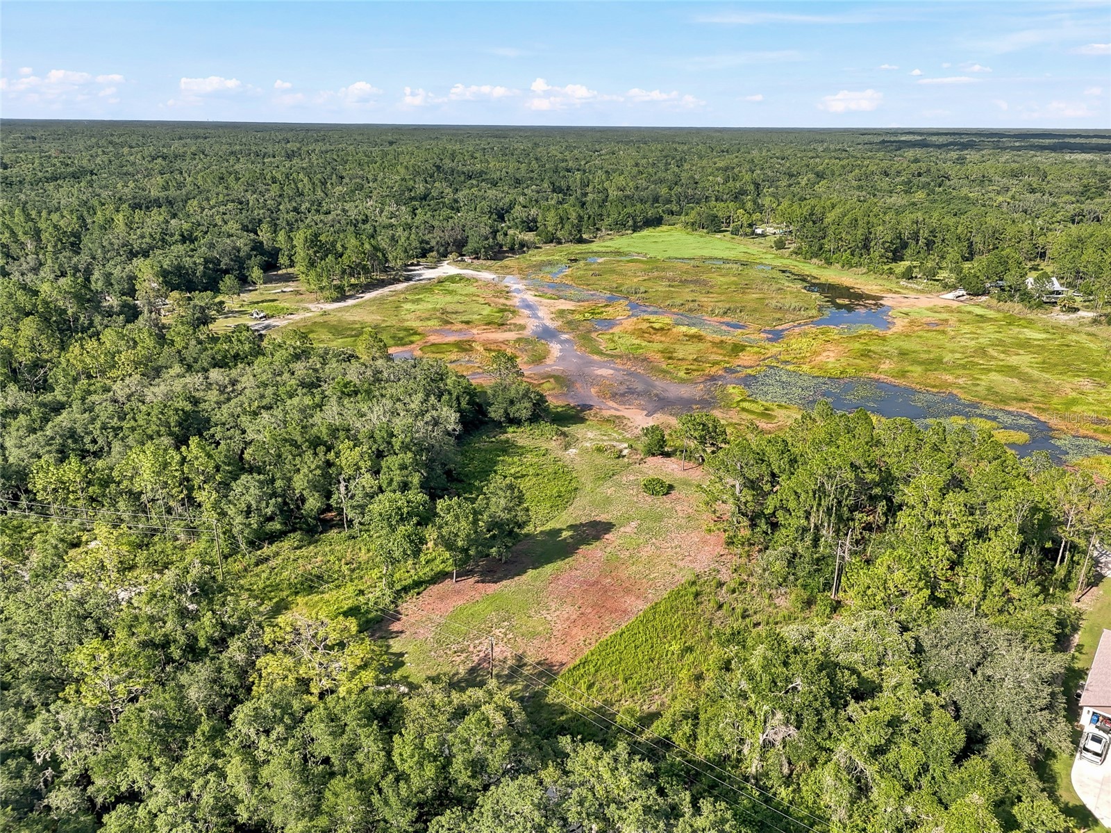 100 Berryhill Drive Webster FL 33597 - Long Lake W7887333 image19