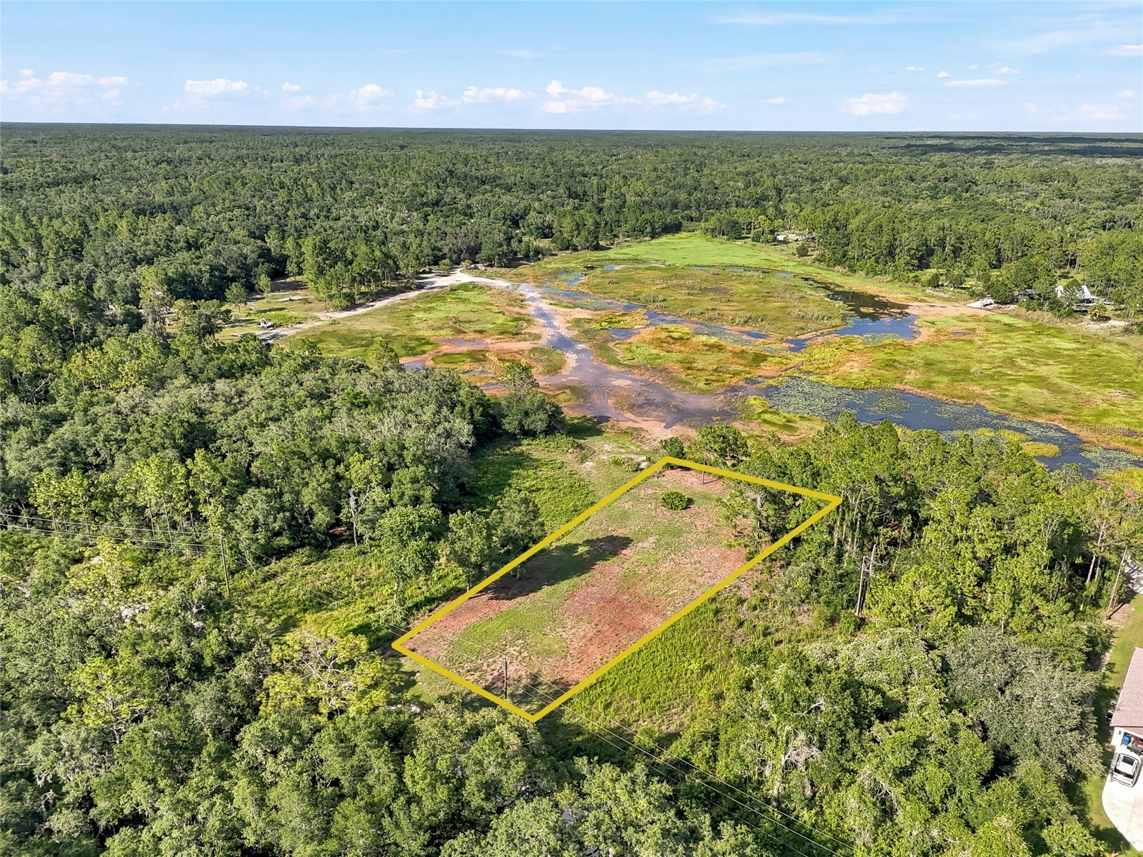 100 Berryhill Drive Webster FL 33597 - Long Lake W7887333 image20
