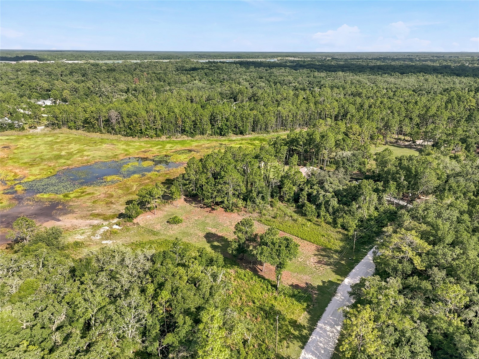 100 Berryhill Drive Webster FL 33597 - Long Lake W7887333 image23