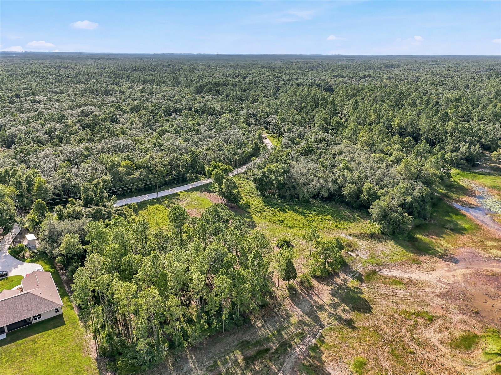 100 Berryhill Drive Webster FL 33597 - Long Lake W7887333 image29